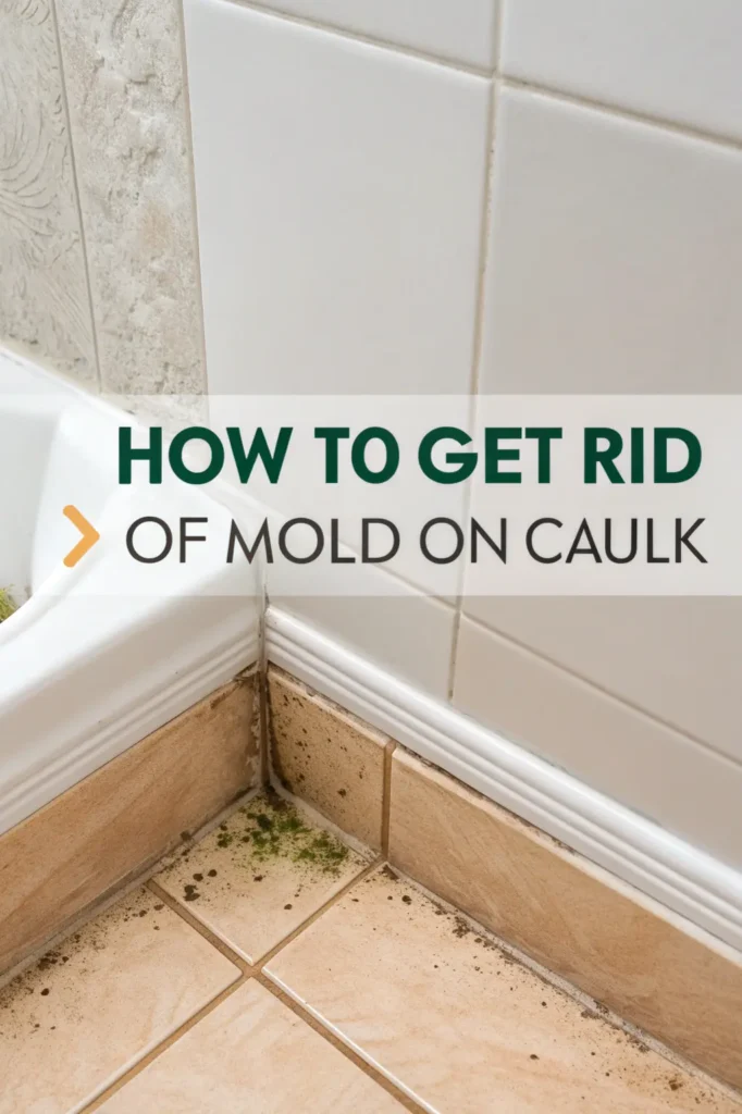 design-a-clean-realistic-image-that-illustrates-t-682x1024 Home