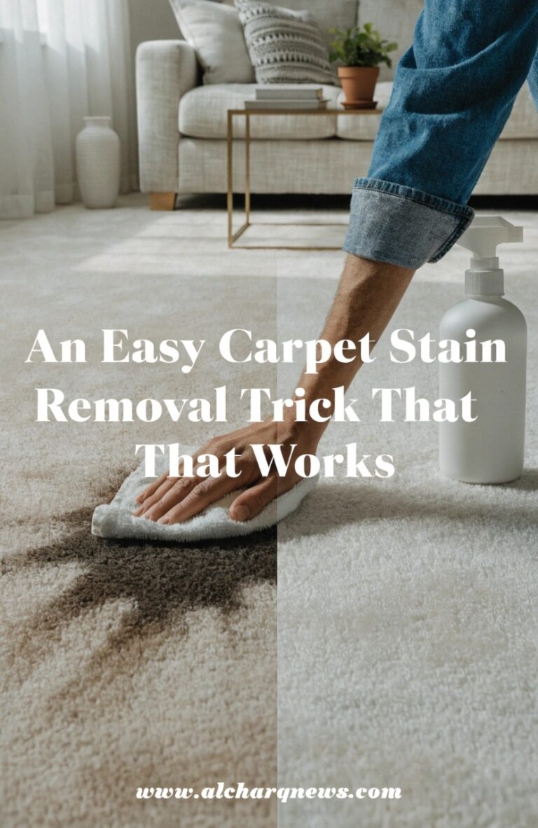 Carpet Stain Removal